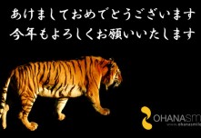 新年のご挨拶
